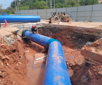 17292164179605009.jpg 17292164179605009.jpg